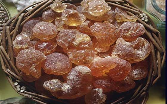   مصر اليوم - أستقرار أسعار الصمغ العربي السوداني في الأسواق العالمية