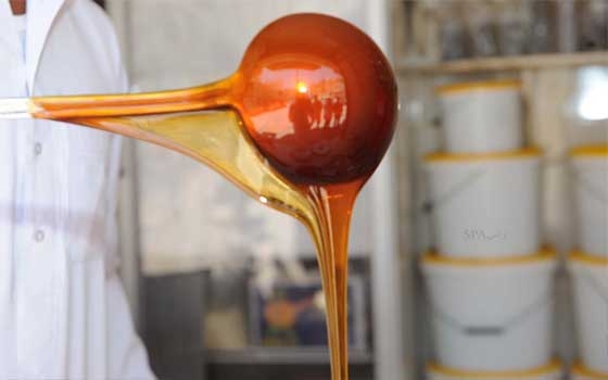   مصر اليوم - متنزه الرُدّف في الطائف يحتضن أكبر سوق للعسل الطبيعي