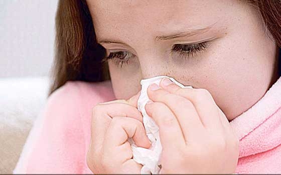 مصر اليوم - صحة الباحة السعودية تنظم ورشة عمل عن الوقاية من الأمراض