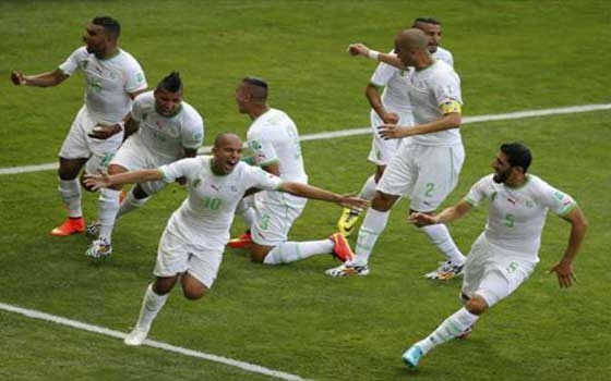   مصر اليوم - محاربي الصحراء يتمسكون بالأمل رغم الهزيمة من بلجيكا