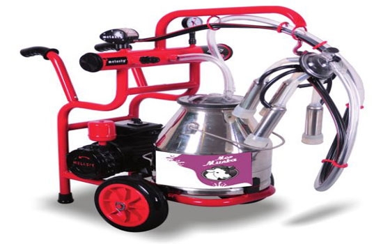   مصر اليوم - مزرعة تريفاريز الفرنسيّة تستخدم جهازًا نقالاً لحلب الأبقار