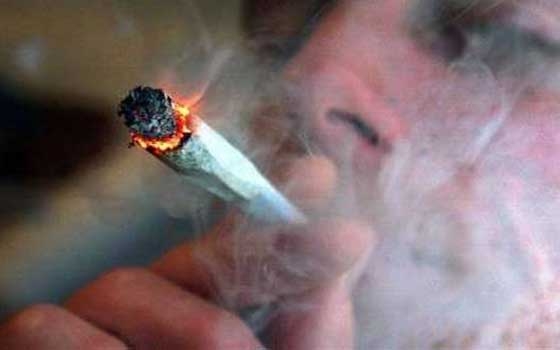   مصر اليوم - حملة قصوا علي إعلان حرب على المخدرات