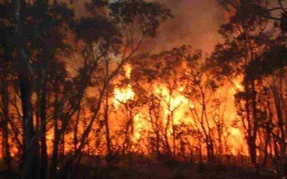   مصر اليوم - اتهام عمدة إسباني بإشعال حريق غابات هائل في بلدته