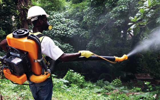   مصر اليوم - حمله طبية لمحاربة فيروس شيكونجونيا الذي انتشر في 12 دولة من دول الكاريبي