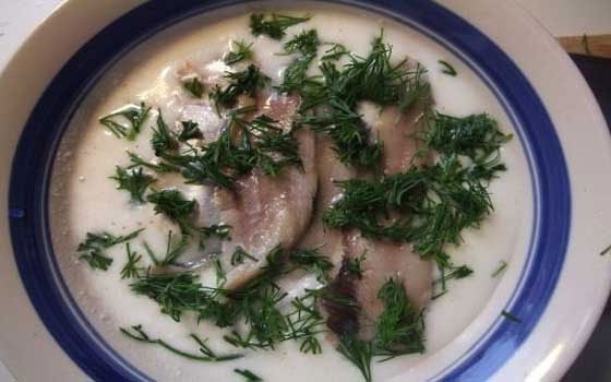   مصر اليوم - رنجة بالليمون والطحينة