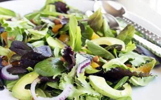   مصر اليوم - تحضير سلطة الأفوكادو بالجرجير