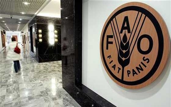   مصر اليوم - منظّمة فاو تُكرّم الصين وتشيلي والمغرب