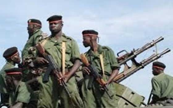   مصر اليوم - قيادة جنوب كردفان تتَّهم منظّمات غربيَّة بدعم المتمردين