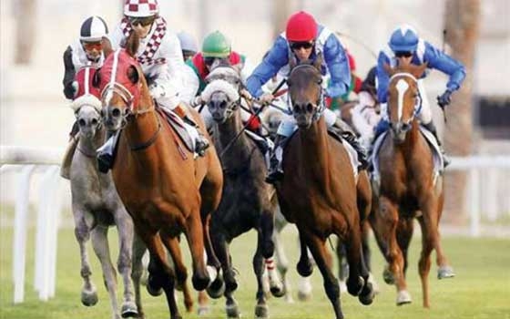   مصر اليوم - سباق كأس قطر للخيل العربية الأصيلة في فرنسا الأثنين