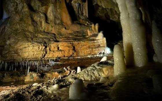   مصر اليوم - إدراج كهف شوفيه الفرنسي ضمن قائمة التراث العالمي