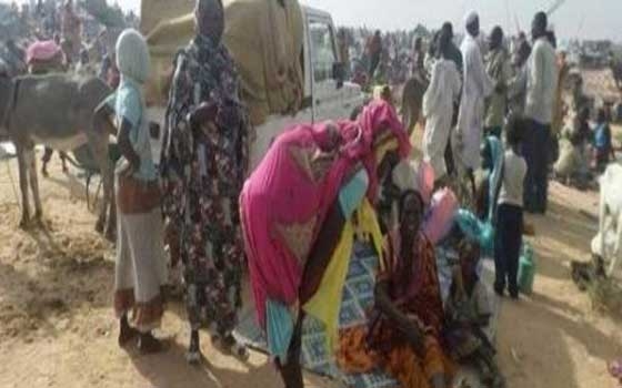   مصر اليوم - توزيع 2500 رأس من الماعز للأسر الفقيرة في شمال دارفور السودانية