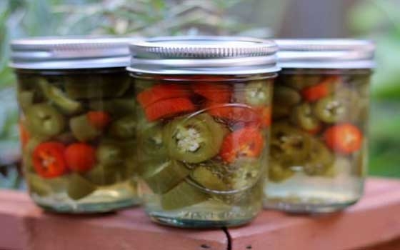   مصر اليوم - طريقة تحضير مخلل الفلفل