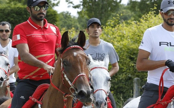   مصر اليوم - الفريق الملكي للقدرة يصل فرنسا للمشاركة في سباق لكنيرز لمسافة 130 كم