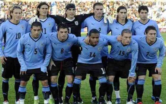   مصر اليوم - أسراب من النمل تهاجم معسكر منتخب أوروجواي