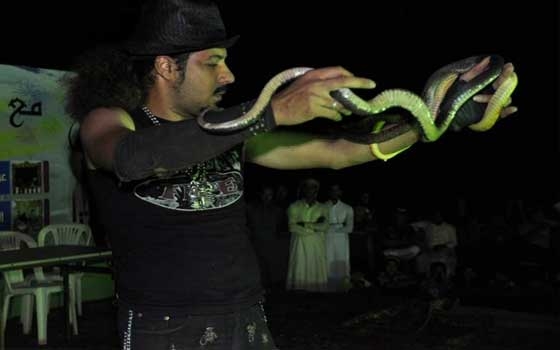   مصر اليوم - مهرجان الوجه وجهتنا في السعودية ينظم عروض متنوعة