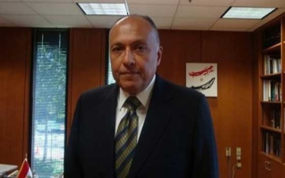   مصر اليوم - وزير الخارجيَّة المصري يلتقي السَّفير الفلسطيني الجديد في القاهرة