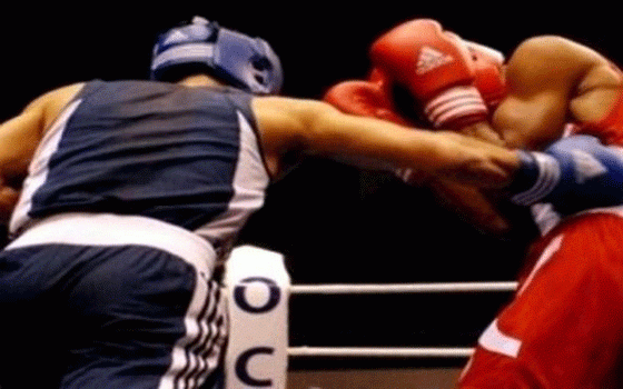   مصر اليوم - لقفاز الجزائري يتألق مجددًا في جنوب إفريقيا