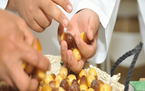   مصر اليوم - انطلاق فعاليات مهرجان ليوا للرطب يوليو المقبل