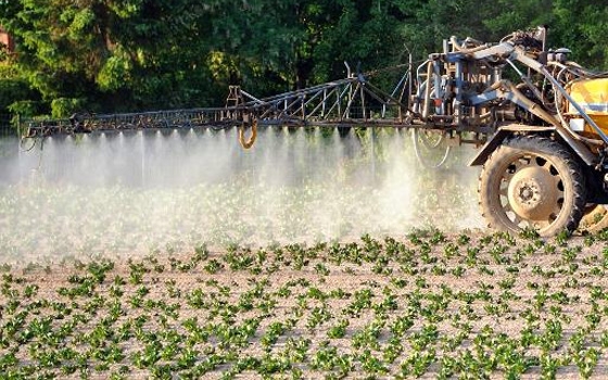   مصر اليوم - دراسة تؤكد وجود صلة بين المبيدات الزراعية والتوحد