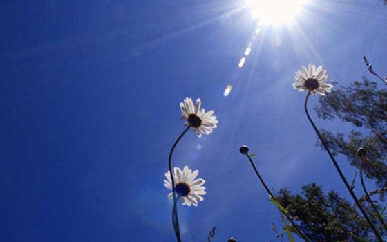   مصر اليوم - طقس لطيف شمالًا معتدل على الوجة البحري الأحد