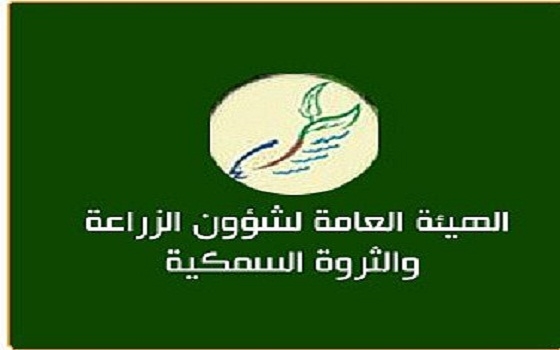   مصر اليوم - هيئة الزراعة الكويتية تضع ضوابط جديدة لإستيراد سمك الزبيدي