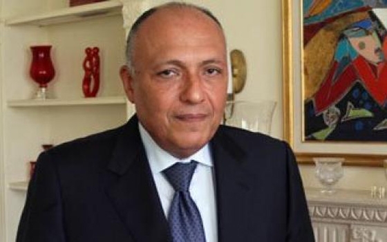 مصر اليوم - مؤتمر صحافيّ لعرض نتائج المحادثات بين مصر وإثيوبيا