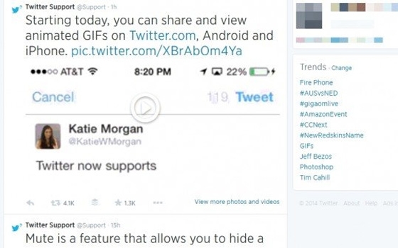   مصر اليوم - تويتر تدعم الصور المتحركة بلاحقة GIF رسميًا