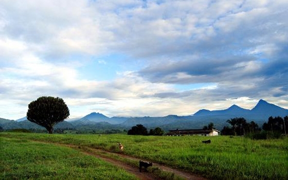   مصر اليوم - أقدم منتزة طبيعي في أفريقيا يعول على التنمية المستدامة