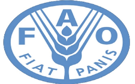   مصر اليوم - الفاو مخاوف شديدة على الأمن الغذائي في العراق بسبب الصراع الحالي