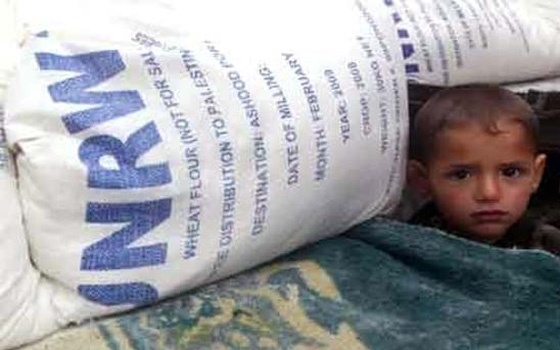   مصر اليوم - الإحصاء الفلسطيني: 5.4% مليون لاجئ مسجل لدى أونروا