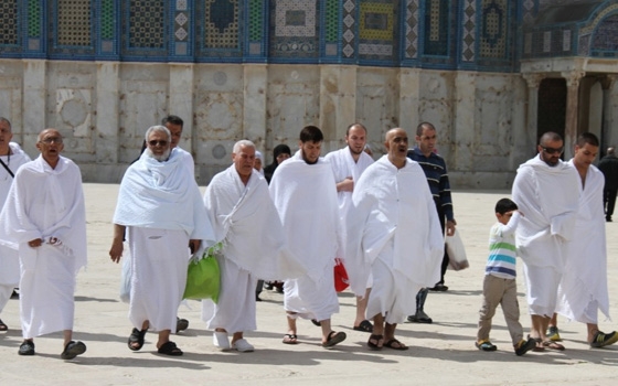   مصر اليوم - وصول 490 معتمرًا من غزة عبر رفح إلى مطار القاهرة