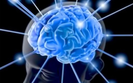   مصر اليوم - خبراء ينصحون بضرورة الكشف المبكر لمرض التصلب المتعدد