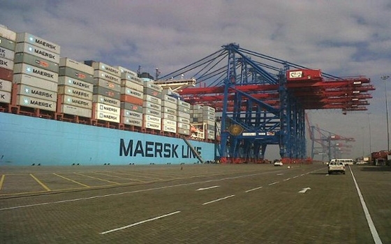   مصر اليوم - النقابة المستقلة في شركة قناة السويس للحاويات تستنكر فصل 8 من العمال