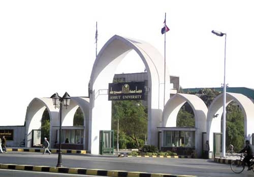   مصر اليوم - جامعة أسيوط توقع مذكرة تفاهم مع معهد طوكيو للتكنولوجيا