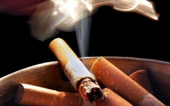   مصر اليوم - حزب الوفد في الإسماعيليّة يطلق حملة ضدّ التّدخين