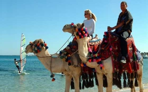   مصر اليوم - تراجع أعداد السائحين الزائرين لمصر خلال إبريل بنسبة 21.9%