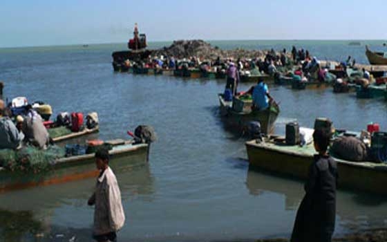   مصر اليوم - توقُّف عمليّات الصيد داخل بحيرة البردويل في شمال سيناء