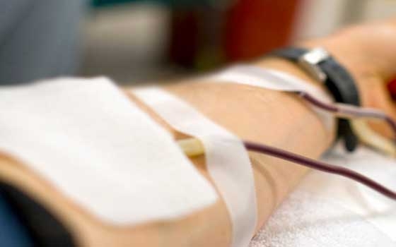   مصر اليوم - الدقهلية تنظم الثلاثاء المقبل الحفل السنوي العالمي للتبرع بالدم