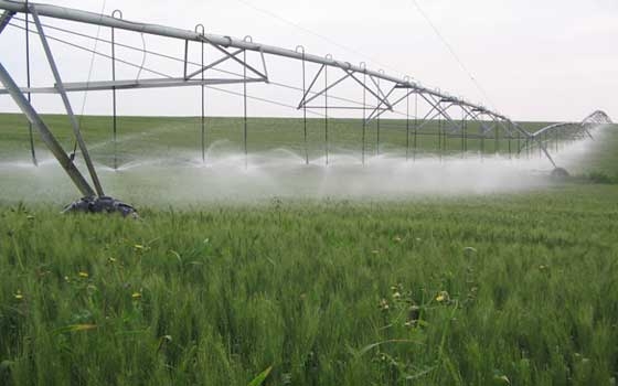   مصر اليوم - الزراعّة والريّ يشكلان لجنتين لتنميّة سيناء والاستفادة من المياه الجوفيّة