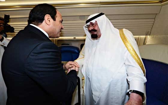   مصر اليوم - شكريّ يُؤكّد أنَّ الأمن القوميّ العربيّ على رأس اهتمامات السيسيّ