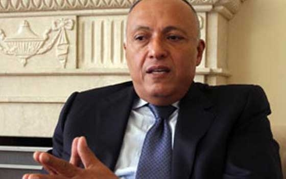   مصر اليوم - سامح شكري يلتقي نائب وزير خارجية الصين للشئون الإفريقية