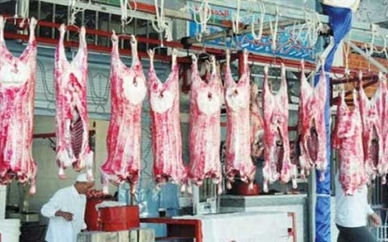   مصر اليوم - تكثيف الحملات البيطرية للتاكد من سلامة اللحوم في رمضان