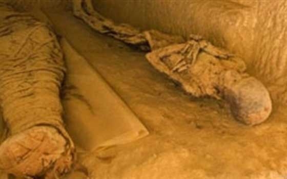   مصر اليوم - اكتشاف مقبرة من عصر الغاليين في فرنسا القديمة