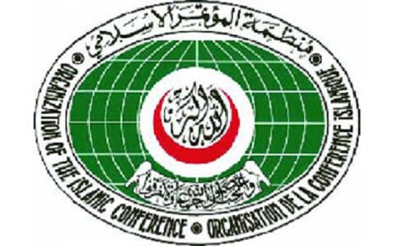   مصر اليوم - منظمة التعاون الإسلامي تدعو إلى محاربة الممارسات الإرهابية