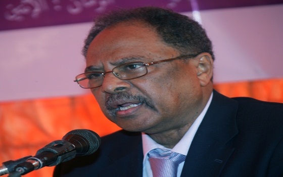   مصر اليوم - وزير البيئة السوداني  ينفى وجود مواد ضارة في الطماطم والموز