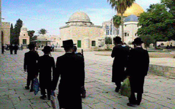   مصر اليوم - مستوطنون يهود يقتحمون المسجد الأقصى في أول أيام شهر رمضان المبارك