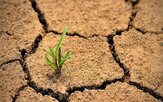   مصر اليوم - تدهور الأراضي بسبب تغير المناخ يهدد السلام العالمي