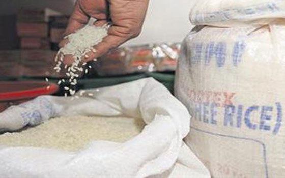   مصر اليوم - زيادة صادرات الأرز الإيطالي