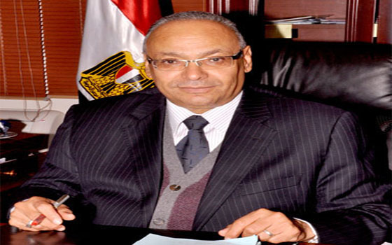 مصر اليوم - القومي للمرأة يشيد بدور محافظة بني سويف في نجاح الانتخابات الرئاسية