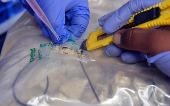   مصر اليوم - توقيف عصابة من تجار المخدرات كانوا يسرقون بضاعة شبكات أخرى